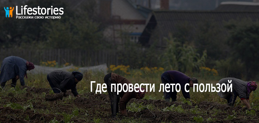 Где провести лето с пользой