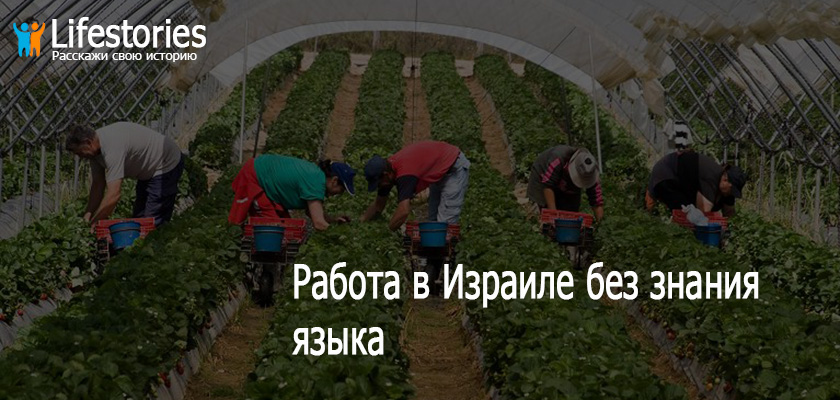 Работа в Израиле без знания языка